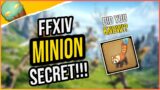 FFXIV Minion Secret