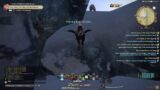 Final Fantasy 14 Online only  doing story quests