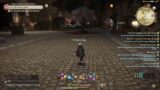 Final Fantasy 14 Online trying to get a chocobo