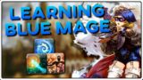 A Beginner’s Guide To Blue Mage | FFXIV Job Overview