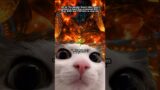 A Realm Reborn, But all Characters are Cats. Part 1 #ffxiv #ffxivmemes #ff14 #catmemes