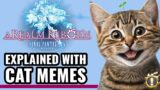 A Realm Reborn Explained with Cat Memes