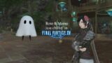 [Final Fantasy XIV] Just chillin', doing whatever | Stream #301