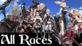 All Playable Races in Final Fantasy XIV (Lore and Theory Crafting)