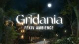 Gridania Night Ambience | FFXIV | Music to Study and Relax