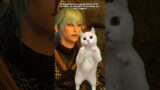 Post-A Realm Reborn Explained with Cat Memes #ffxiv #ffxivmemes #ff14 #catmemes
