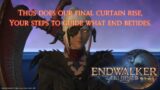 The Strength to Forge Ahead – Final Fantasy XIV Online: Endwalker- Session #06 (MSQ Finale)