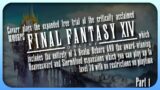 What if Final Fantasy but online || Final Fantasy XIV