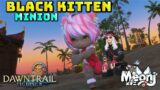 FFXIV: Black Kitten Minion – (Raid Spoilers In Text)