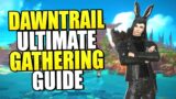 FFXIV Gathering Guide – Level Gathering Jobs to 100 In Dawntrail FAST