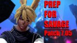 FFXIV – How To Prep For Savage Patch 7.05