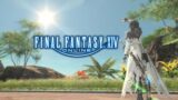 [Final Fantasy XIV] Just chillin', doing whatever | Stream #348