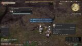 Final Fantasy XIV: Road to Lv60 (35)