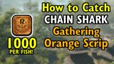 MUST DO! – Chain Shark – 1000 Orange Gathering Scrip fish – FF14 Dawntrail