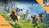 Showcasing My favorite MMO, Final Fantasy 14!