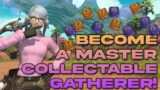 Simple Guide to Gathering Collectables & Scrips at Any Level | FFXIV Dawntrail