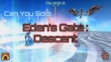 FFXIV : Can You Solo… Eden's Gate : Descent ?