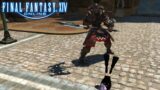 [Final Fantasy 14] Possibly finishing ARR!