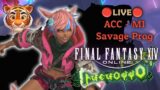 Final Fantasy XIV Live Stream: Day 1 AAC Light-Heavyweight M1 Savage Prog