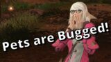 FFXIV Bug! Pets Ignoring Trait Potency Boosts! | Dawntrail 7.05