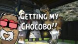 Final Fantasy XIV: A Realm Reborn – Chocobos!