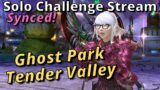 Ghost Park and Tender Valley! FFXIV Solo Challenge Stream! How much can you solo Synced?! #30