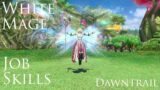 White Mage Job Skill Animations Dawntrail FFXIV