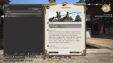 FINAL FANTASY XIV Role Quest Melee Dps : part 4