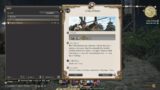 FINAL FANTASY XIV Role Quest Melee Dps : part 5