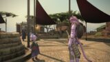 Final Fantasy XIV Seach and Seizure