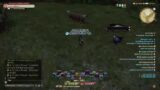 Final fantasy 14