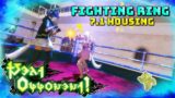 FFXIV: Fighting Ring Housing Item! – 7.1