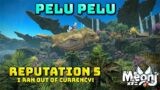 FFXIV: Pelu Pelu Reputation 5 – Respected – Rank Up Day