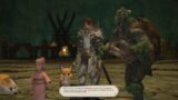 FInal Fantasy XIV walkthrough – 451 – The Fierceness of Byakko