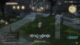 Toxic player back in FFXIV!