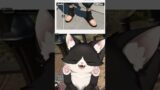 We NEEDED this update | #ffxiv #ffxivonline #ffxivtok #ffxivcommunity #vtuber #ffxivmeme #vtubers
