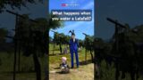 What happens when you water a Lalafell?  | Watering Can Emote |  #ffxiv #finalfantasy14 #ffxivmemes