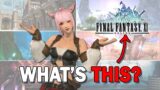 YOU play FFXIV and know NOTHING about FFXI