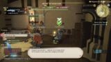 final fantasy XIV; SMN lv 35, cranberry turkey chicharron