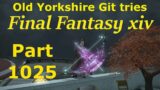 Final Fantasy 14 Part 1025