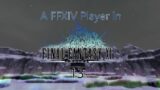 [13] A Final Fantasy XIV player in Final Fantasy XI