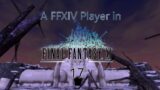 [17] A Final Fantasy XIV player in Final Fantasy XI