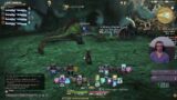 Final Fantasy 14 Astrologian beginners guide how to heal your 1st dungeon