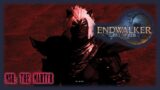 Final Fantasy 14 Online Endwalker (PC) MSQ: The Martyr