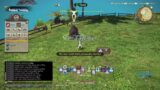 Final fantasy XIV 7.15 island sanctuary squadron and 2.0 Beast tribes quests