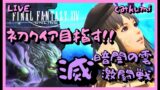 【FF14】初クリアを目指す！滅暗闇の雲に挑む！24人滅アライアンスレイド【manaDC】